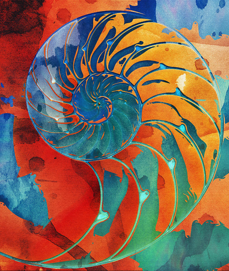 Nautilus Shell Orange Blue Green Digital Art by Clare Bambers