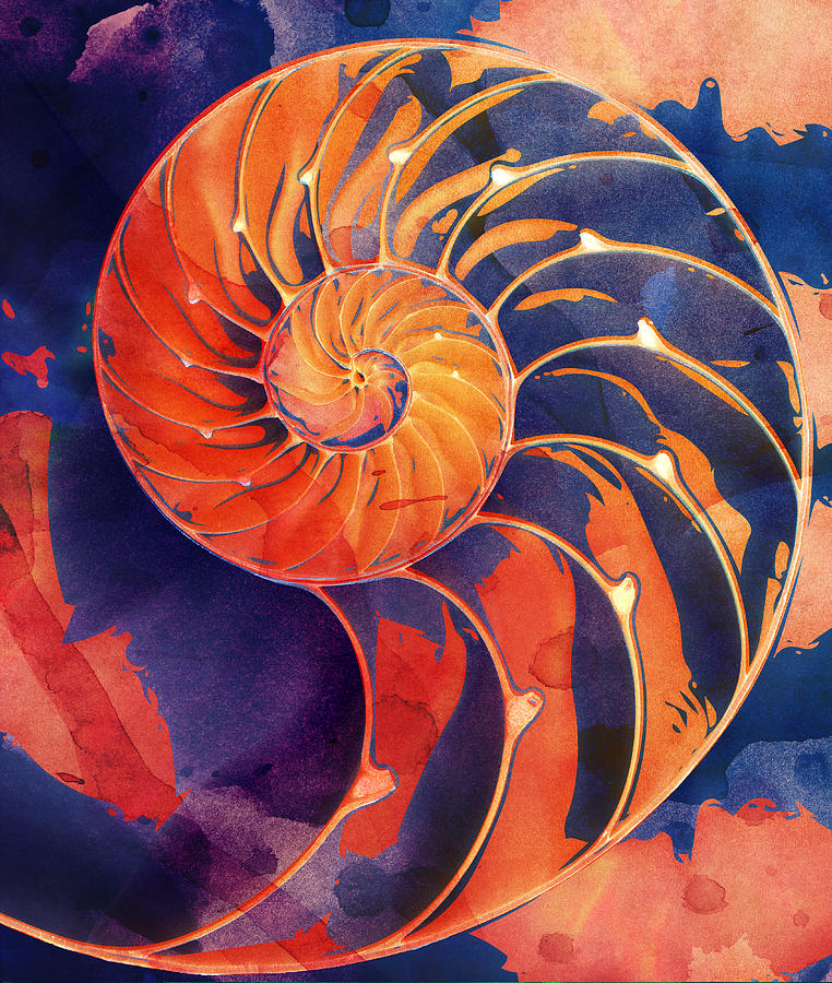 Nature Digital Art - Nautilus Shell Orange Purple by Clare Bambers