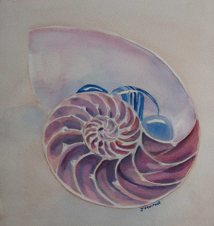 Nautilus With Glass Stones Painting by Jenny Armitage