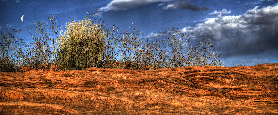Navaho Sandstone at Horseshoe Bend Photograph by Roger Passman