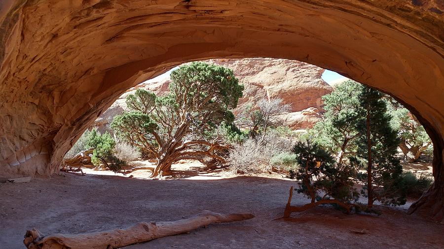 Arches National Park Photograph - Navajo Arch by Jennifer Forsyth
