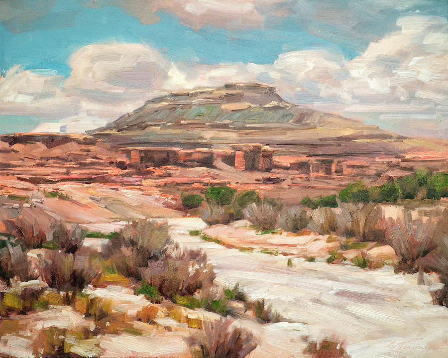 Navajo Country Painting By Charles Thomas Fine Art