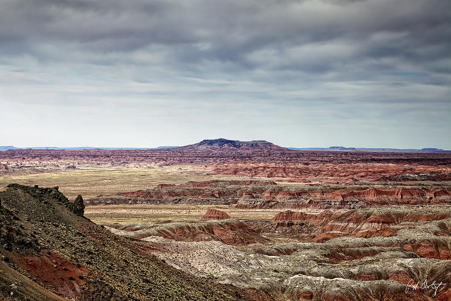 Nature Photograph - Navajo Country by Phill Doherty