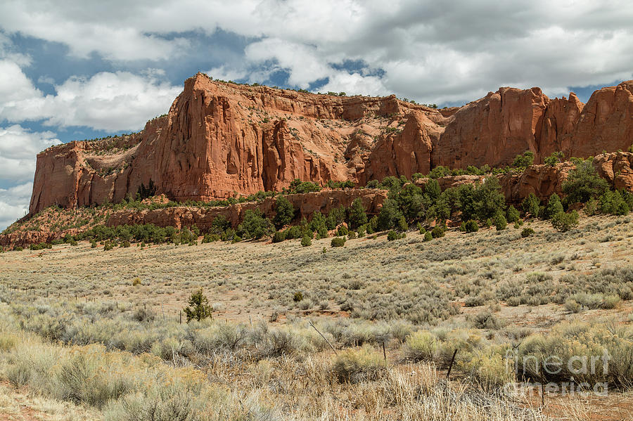 Arizona Landscape Photograph - Navajo Lands  8b9076 by Stephen Parker