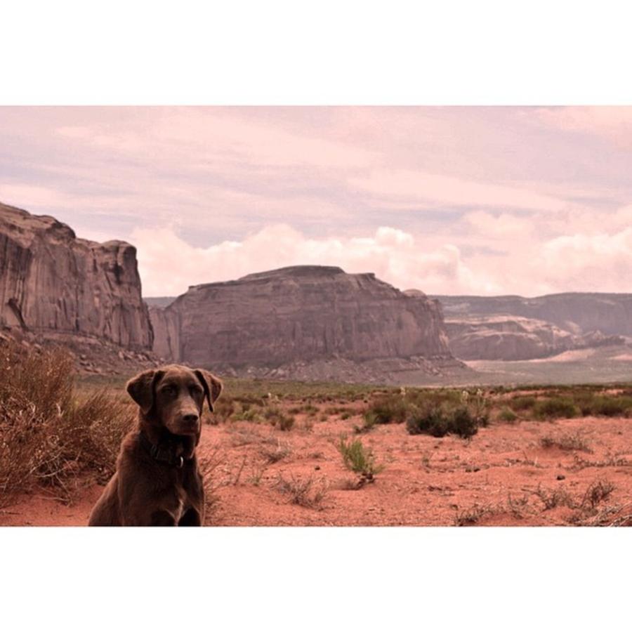 Mountain Photograph - Navajo Mutt #photography #landscape by Scotty Brown
