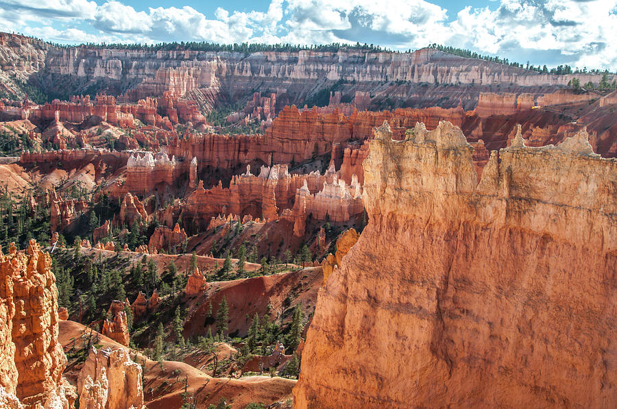 Navajo Queens Garden Trails Loop by NaturesPix Navajo Queens Garden Trails Loop by NaturesPix