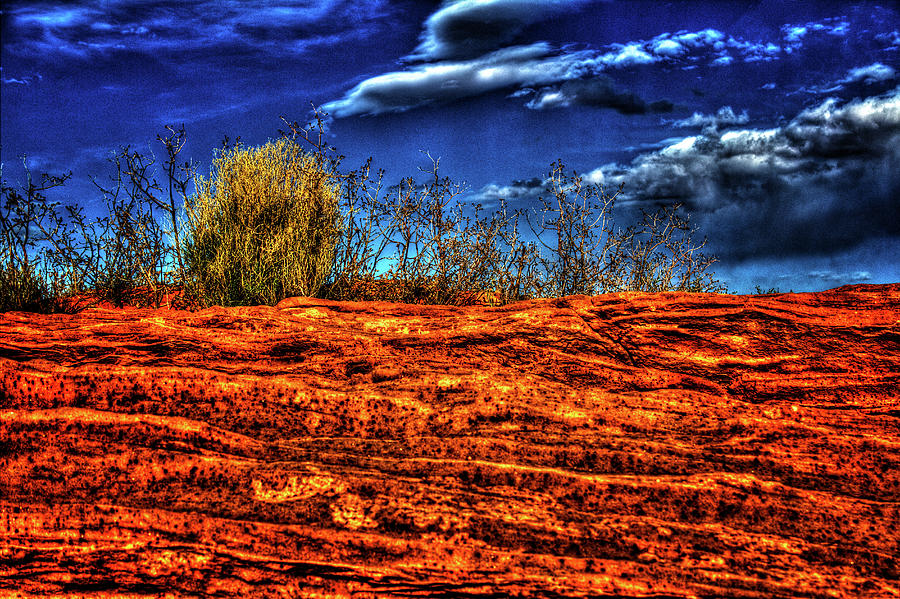 Navajo Sandstone at Horseshoe Bend Photograph by Roger Passman