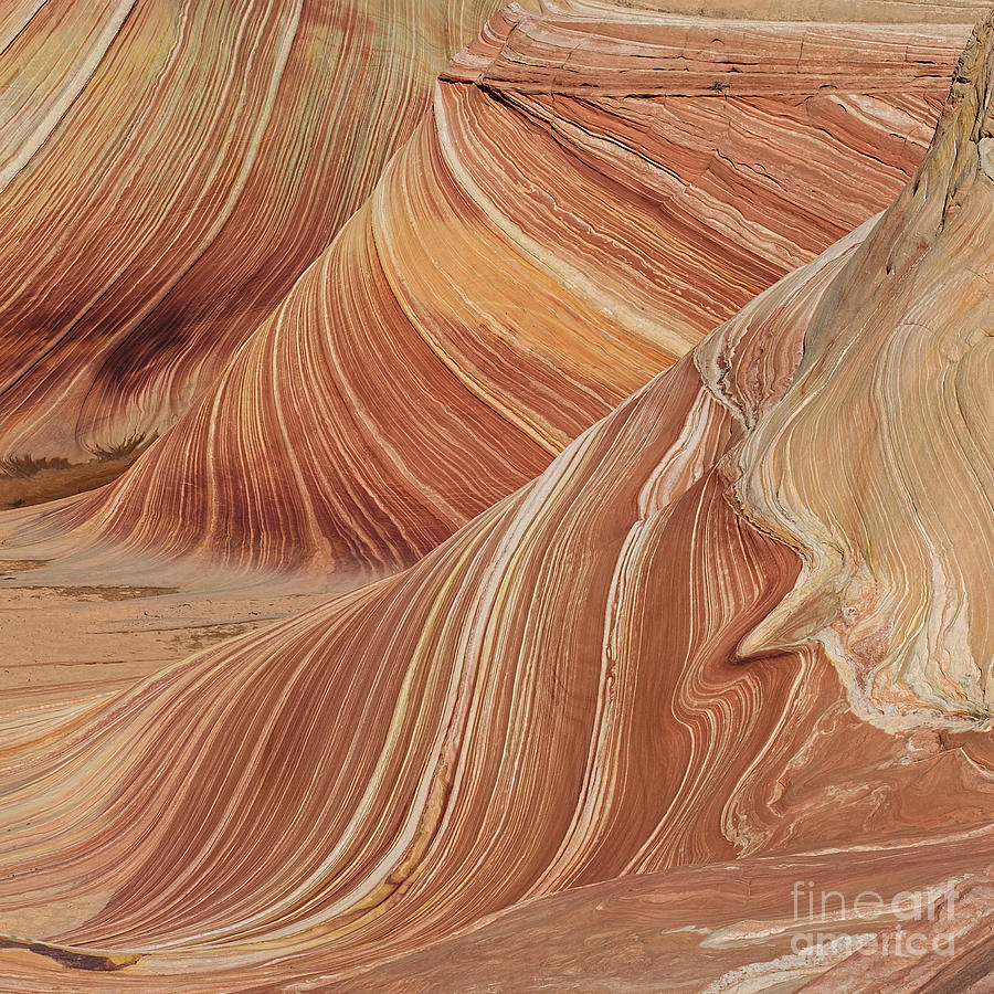 Navajo Sandstone Photograph by Jerry Fornarotto