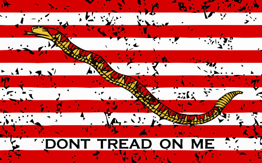 Navy Jack Flag - Dont Tread On Me Mixed Media