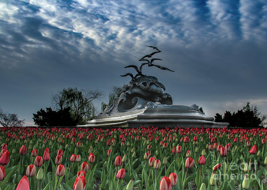 Tulip Photograph - Navy-Merchant Marine Memorial by Amy Sorvillo