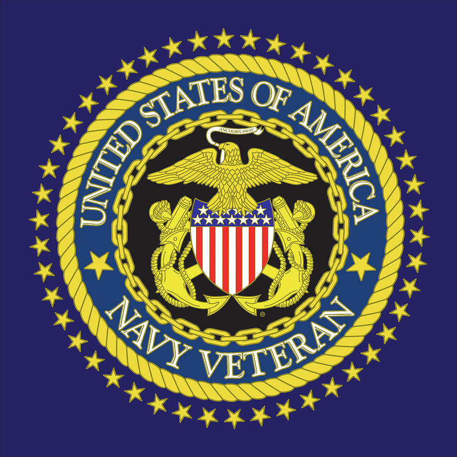 Navy Veteran Painting by Gary Grayson