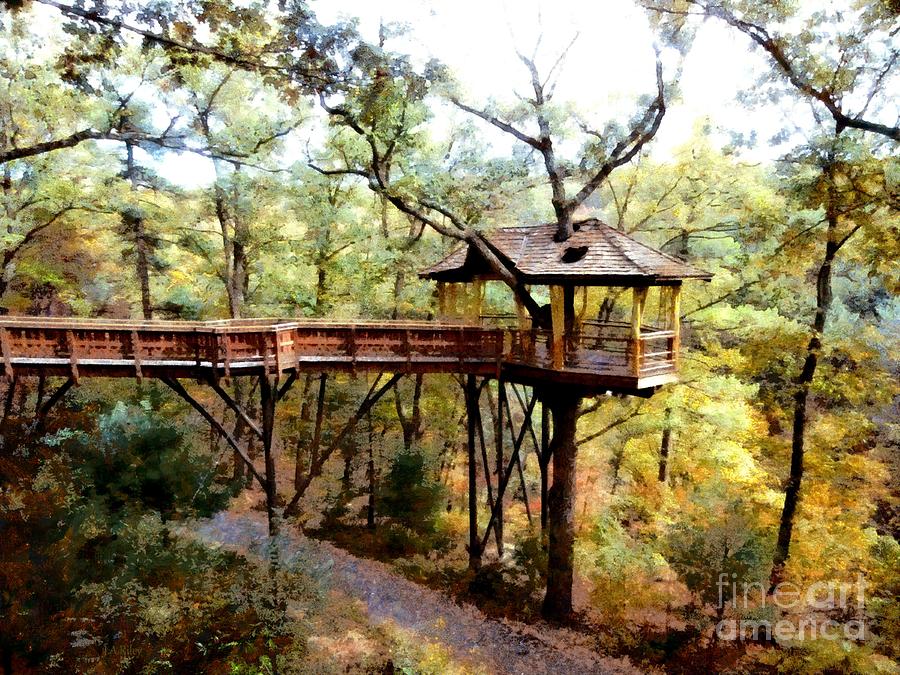 Nay Aug Park Treehouse - Scranton PA Photograph by Janine Riley