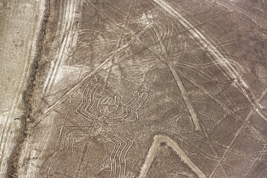 Nazca Lines Spider Photograph by Jess Kraft