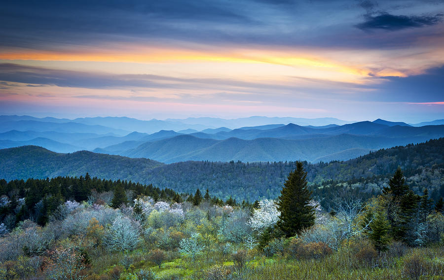 NC Blue Ridge Parkway Landscape in Spring - Blue Hour Blossoms Photograph by Dave Allen