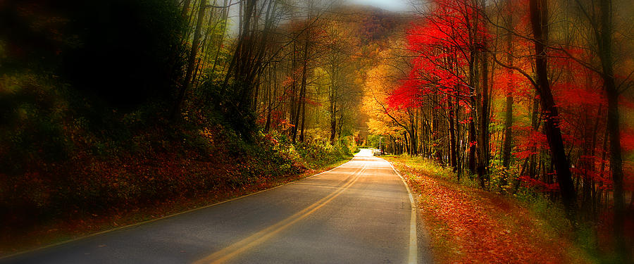 NC Mountain Fall Drive Photograph by Gray  Artus