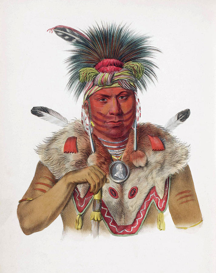 Ne-Sou-A-Quoit a Fox chief Drawing by Unknown