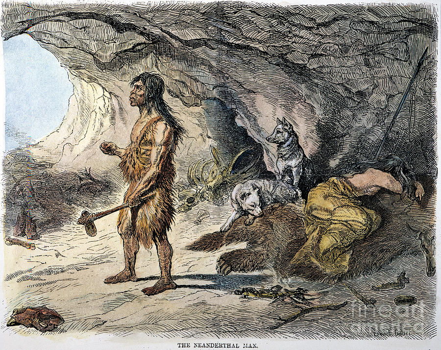 Neanderthal Man Photograph by Granger