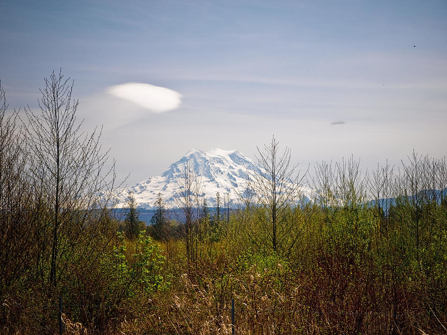 Near Mount Rainier Photograph by Jim DeLillo