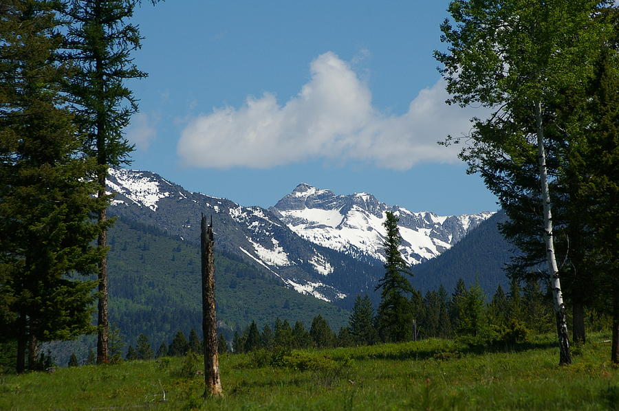 Mountain Photograph - Near Sparwood British Columbia  by Jeff Swan