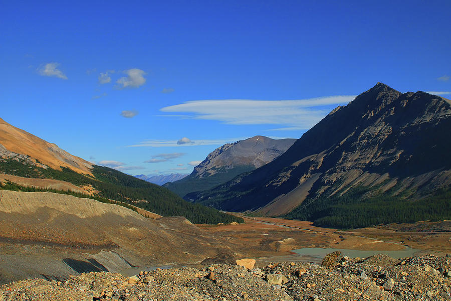 Near the Athabasca Glacier in the Canadian Rockies Photograph by Ola Allen