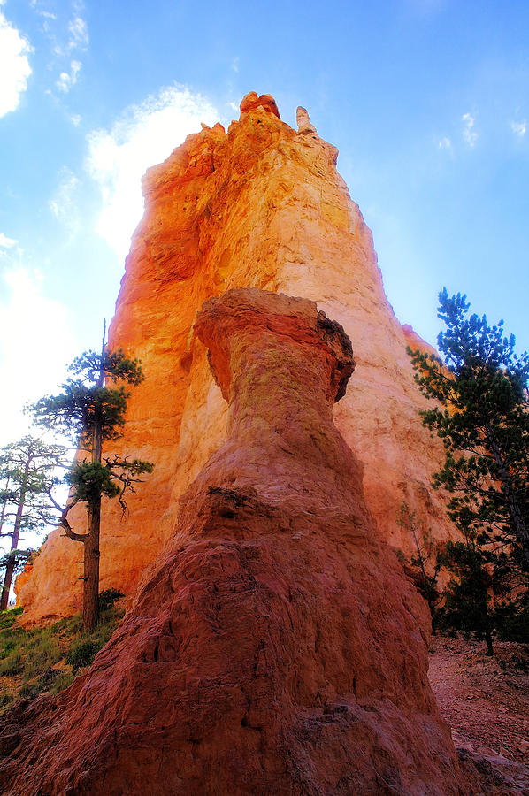 Near the bottom of Bryce Canyon Photograph by Jeff Swan
