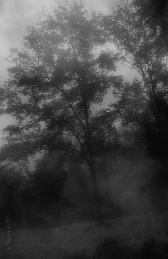 Nebelbild 014 - Fog Image 014 Photograph by Mimulux Patricia No