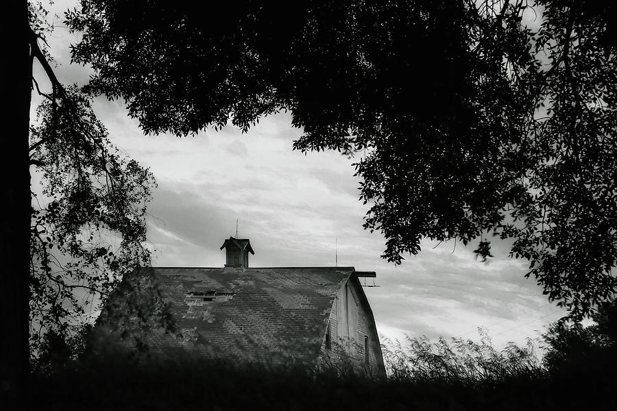 Nebraska - Barn - Black and White Photograph by Nikolyn McDonald