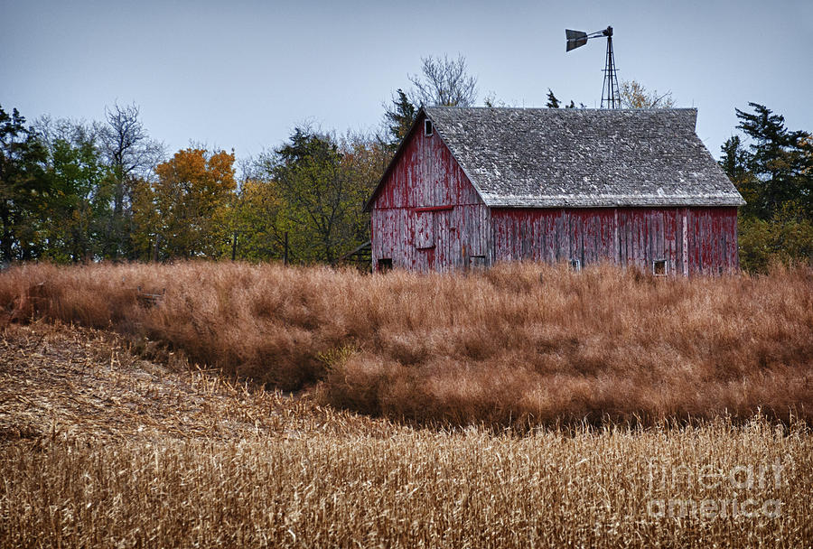 Nebraska Barn Photograph by David Waldrop