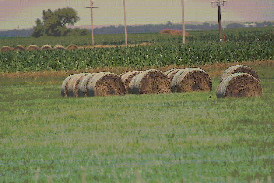 Nebraska Farm Life - Bails of Hay Photograph by Colleen Cornelius