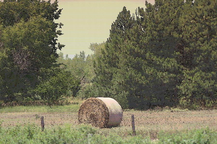 Nebraska Farm Life - Hay Bail Photograph by Colleen Cornelius