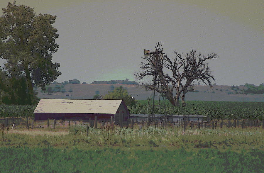 Nebraska Farm Life - Old Barn and Windmill Photograph by Colleen Cornelius