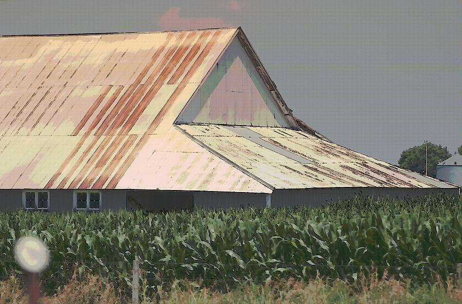 Nebraska Farm Life - The Tin Roof Photograph by Colleen Cornelius