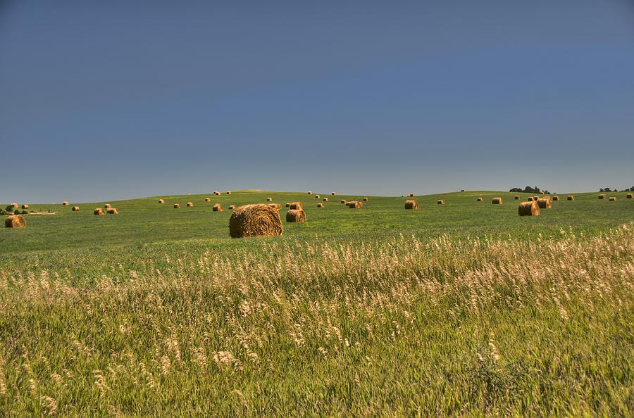 Nebraska Hay 02 Photograph by Jonathan Sabin