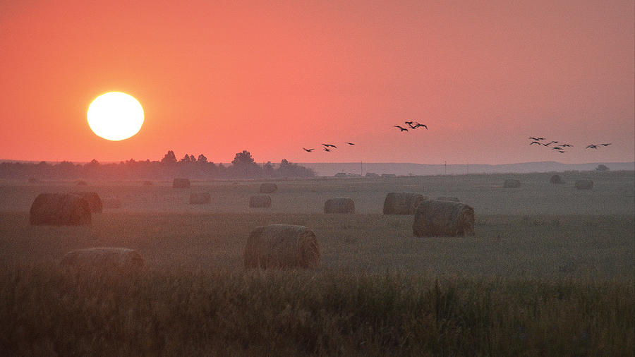 Nebraska Mornings.. Photograph by Al Swasey