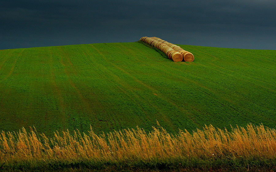 Nebraska Rainy Day Photograph by Al Swasey