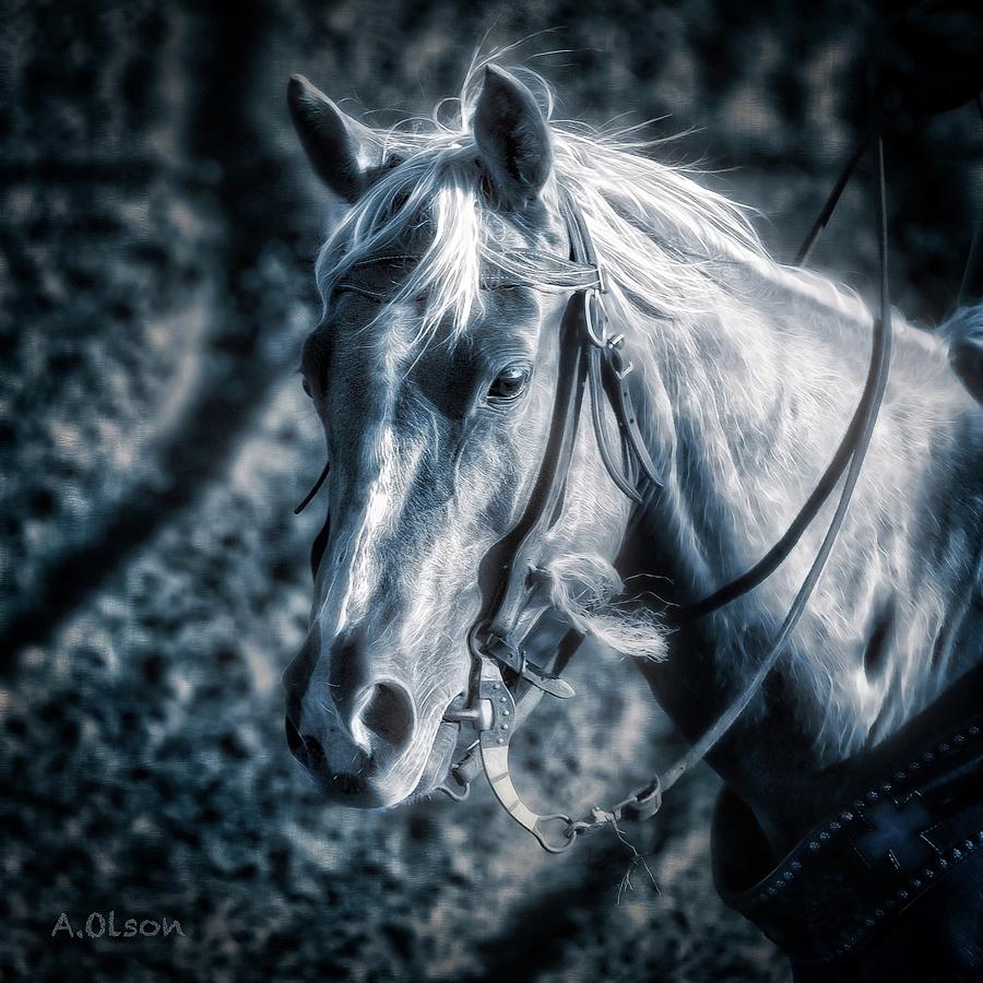 Horse Photograph - Nebraska Rodeo Roping Horse... by Allen Olson