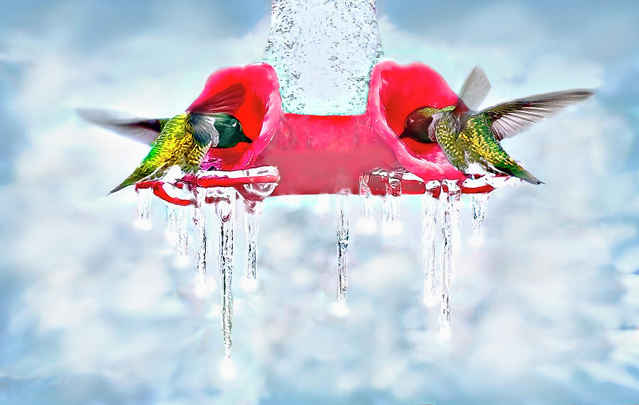 Nectar on Ice Digital Art by John Christopher
