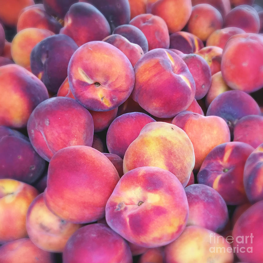 Nectarine food photograph Photograph by Ivy Ho