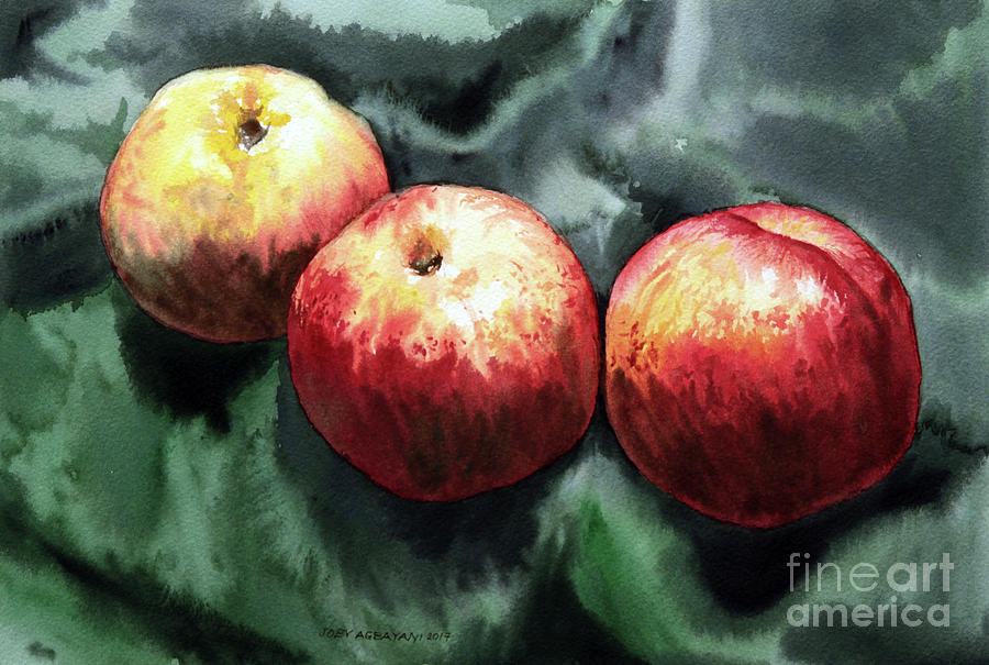 Nectarines Painting by Joey Agbayani