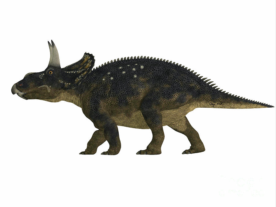 Nedoceratops Side Profile Painting by Corey Ford - Pixels