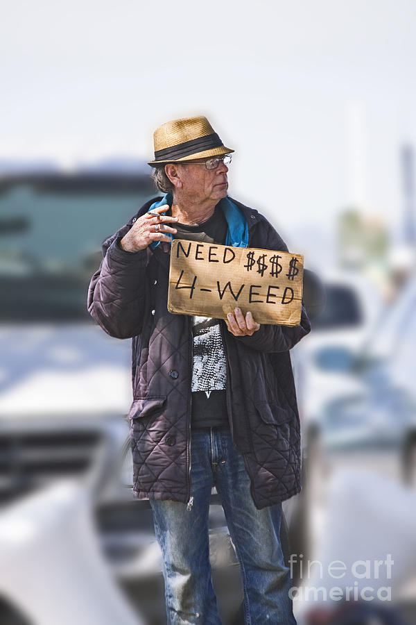 Need Money For Weed Photograph