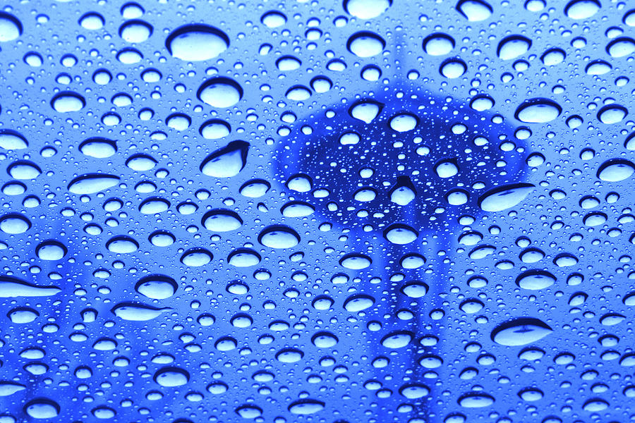 Needle in rain drops H006 Photograph by Yoshiki Nakamura