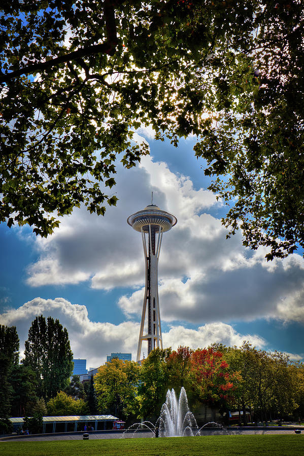 Needle Through the Trees Photograph by David Patterson