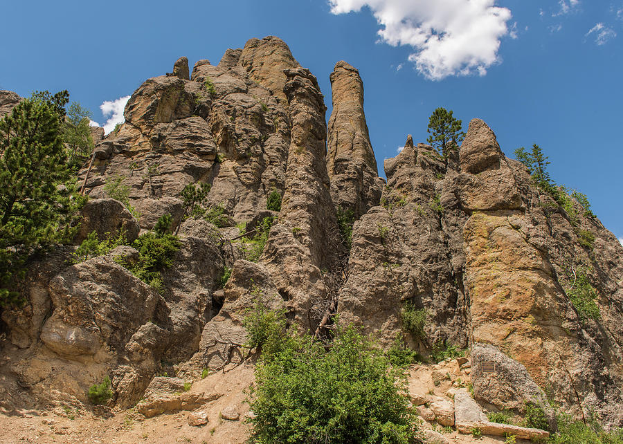 Needles in Custer State Park Photograph by Brenda Jacobs