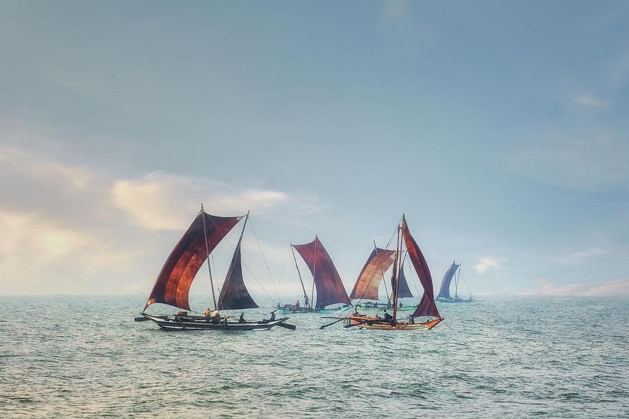 Negombo - Sri Lanka Photograph by Joana Kruse