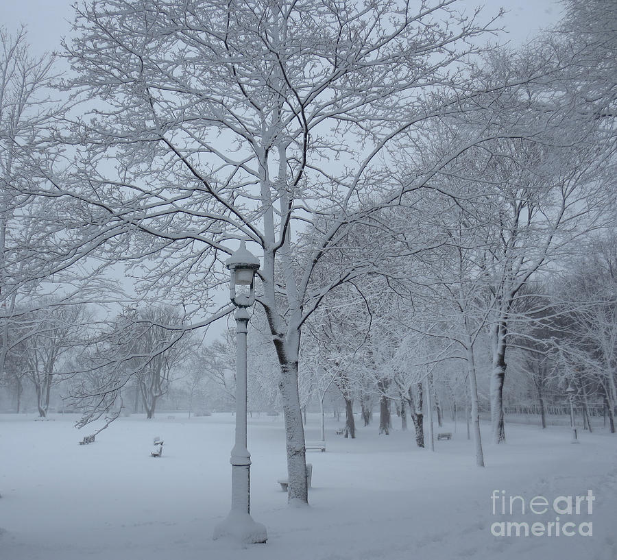 Neige dans le parc / Snow Time in the Park Photograph by Dominique Fortier