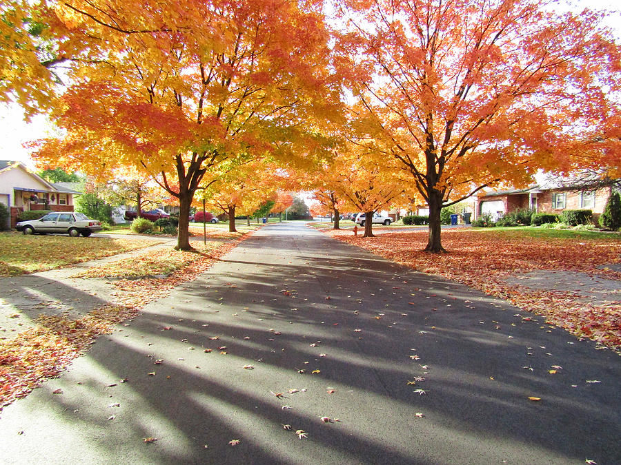 Neighborhood Autumn Photograph by Robert Knight