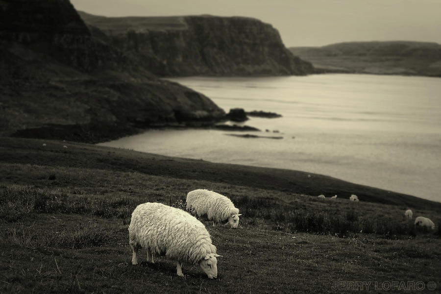 Sheep Photograph - Neist Point by Jerry LoFaro