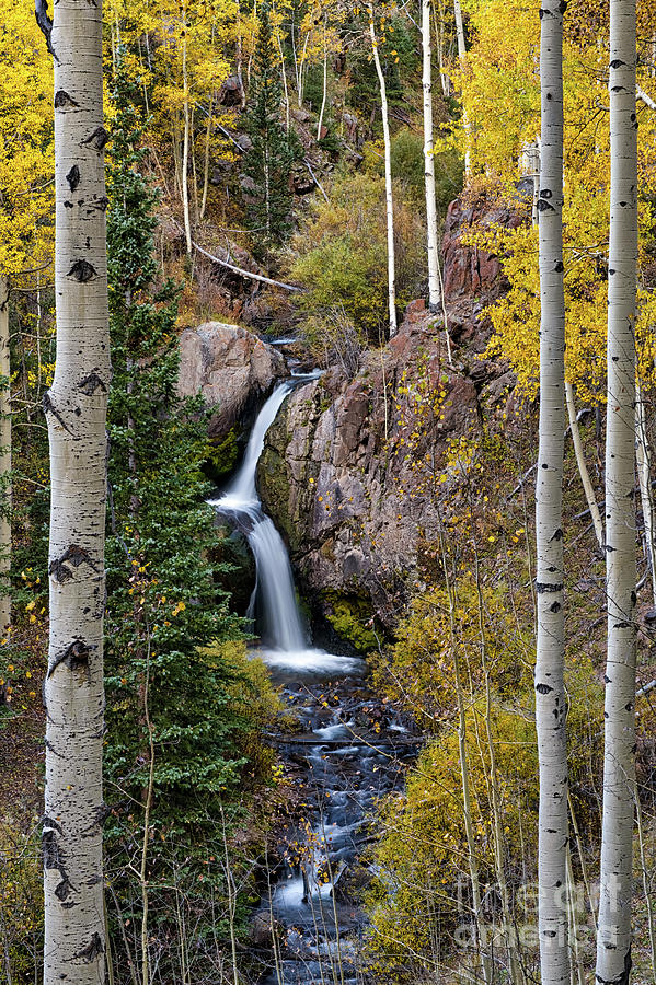 Nellie Creek Waterfall in Fall Photograph by Tibor Vari - Fine Art America