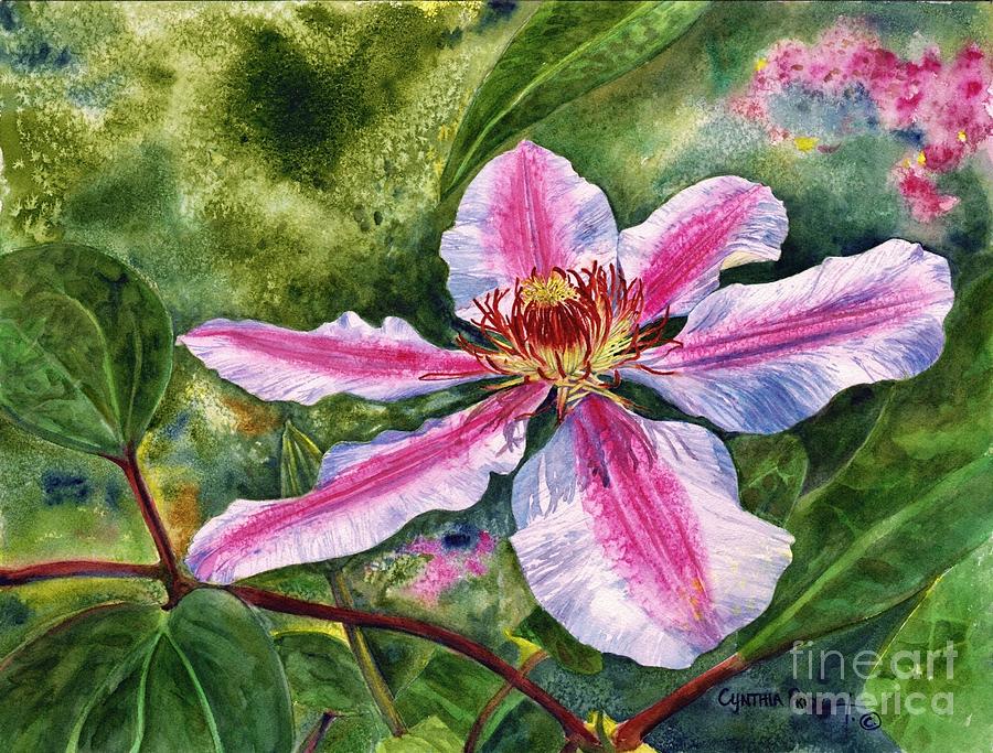 Nelly Moser Clematis Painting by Cynthia Pride
